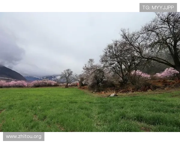 2026年515足球开户下载官网官方平台详细介绍，帮助玩家轻松注册登录畅享足球娱乐盛宴