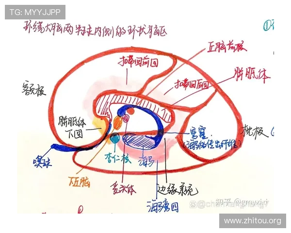 inbet滚球盘的投注心理学与情绪管理技巧提升你的投注稳定性